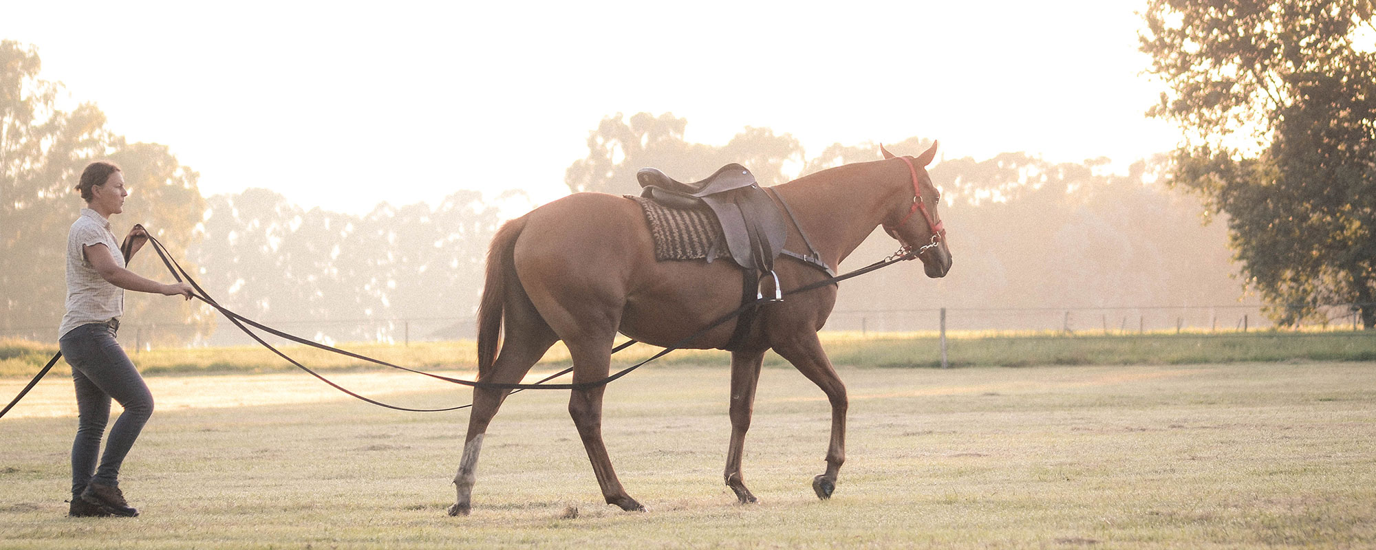 Denise Heinlein training a young Polo horse in Argentina. Photo by Kevin Funcia. Denise Heinlein training a young Polo horse in Argentina. Photo by Kevin Funcia.