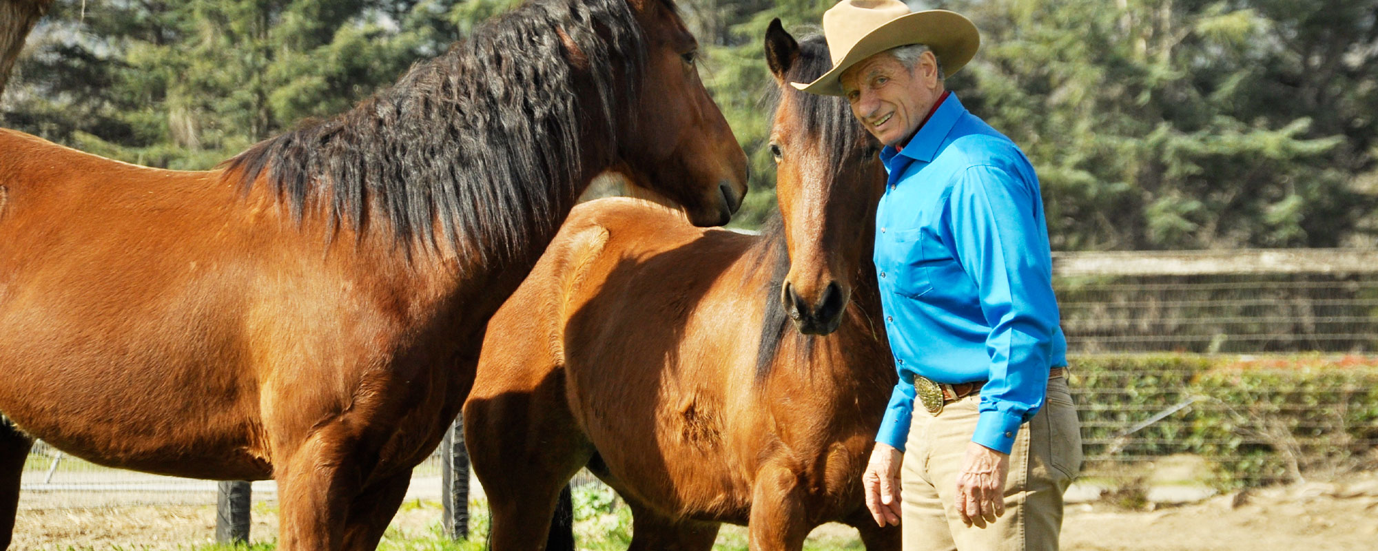 Monty Roberts working with mustangs at Flag Is Up Farms. Photo by James Oliver.