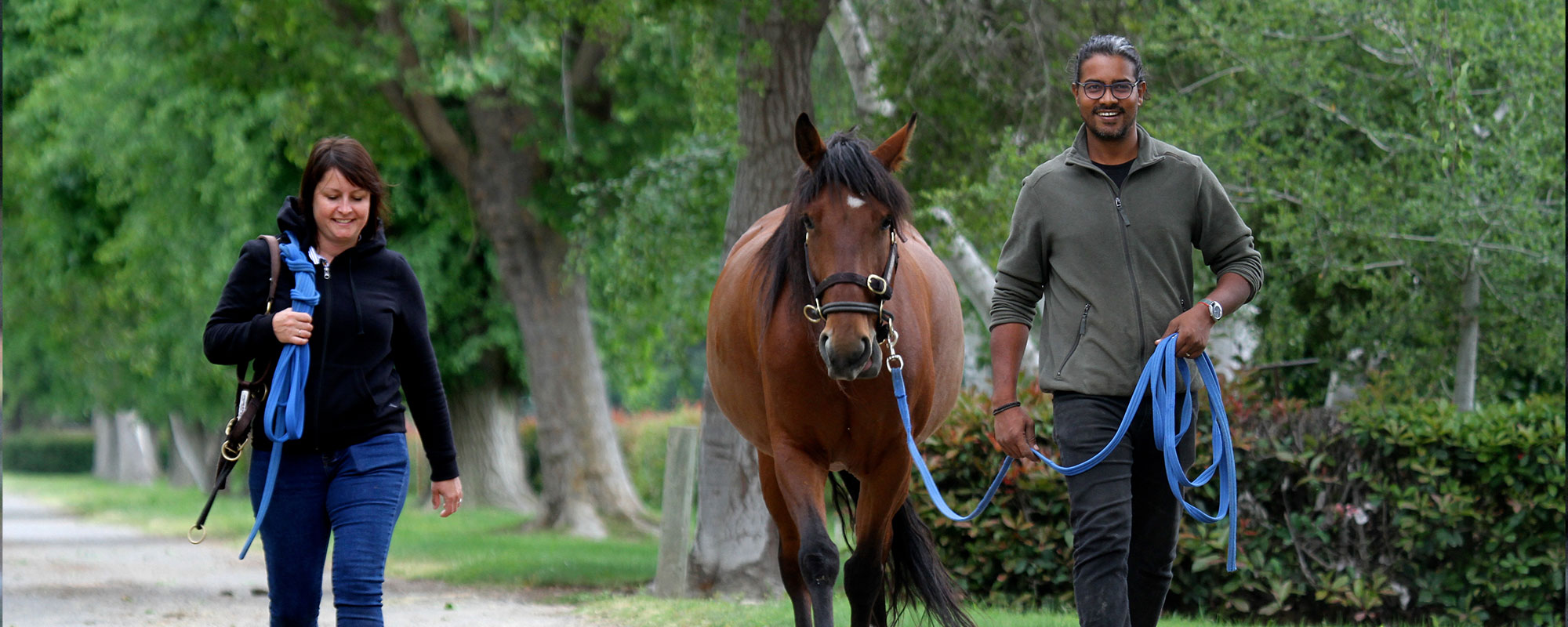 For decades equine students from around the globe have studied violence-free horsemanship at the Monty Roberts International Learning Center. Photo by June Tabor. For decades equine students from around the globe have studied violence-free horsemanship at the Monty Roberts International Learning Center. Photo by June Tabor.