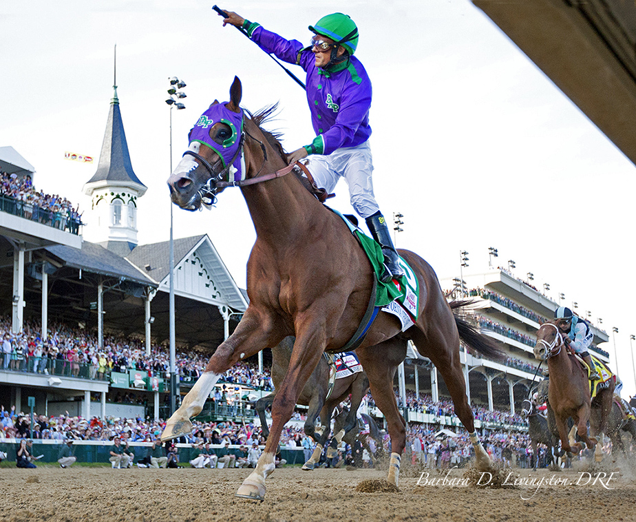 California Chrome winning the 2014 Kentucky Derby © Barbara D. Livingston California Chrome winning the 2014 Kentucky Derby © Barbara D. Livingston