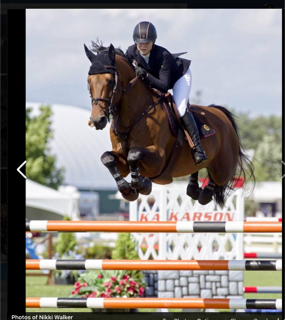 Nikki Walker Showing at WEF Nikki Walker Showing at WEF