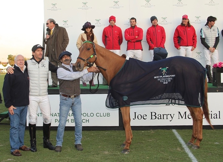 Cubana chosen as Best Playing Pony on Jan. 8th 2017 in the Joe Barry Game: Grand Champs vs Coca Cola © Alex Pacheco/7ChukkerPolo.com Cubana chosen as Best Playing Pony on Jan. 8th 2017 in the Joe Barry Game: Grand Champs vs Coca Cola © Alex Pacheco/7ChukkerPolo.com