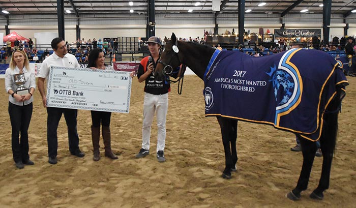 Retired Racehorse Project - Thoroughbred Makeover Winner Caldwell on Old Tavern - photo courtesy of GRC Photo LLC Retired Racehorse Project - Thoroughbred Makeover Winner Caldwell on Old Tavern - photo courtesy of GRC Photo LLC