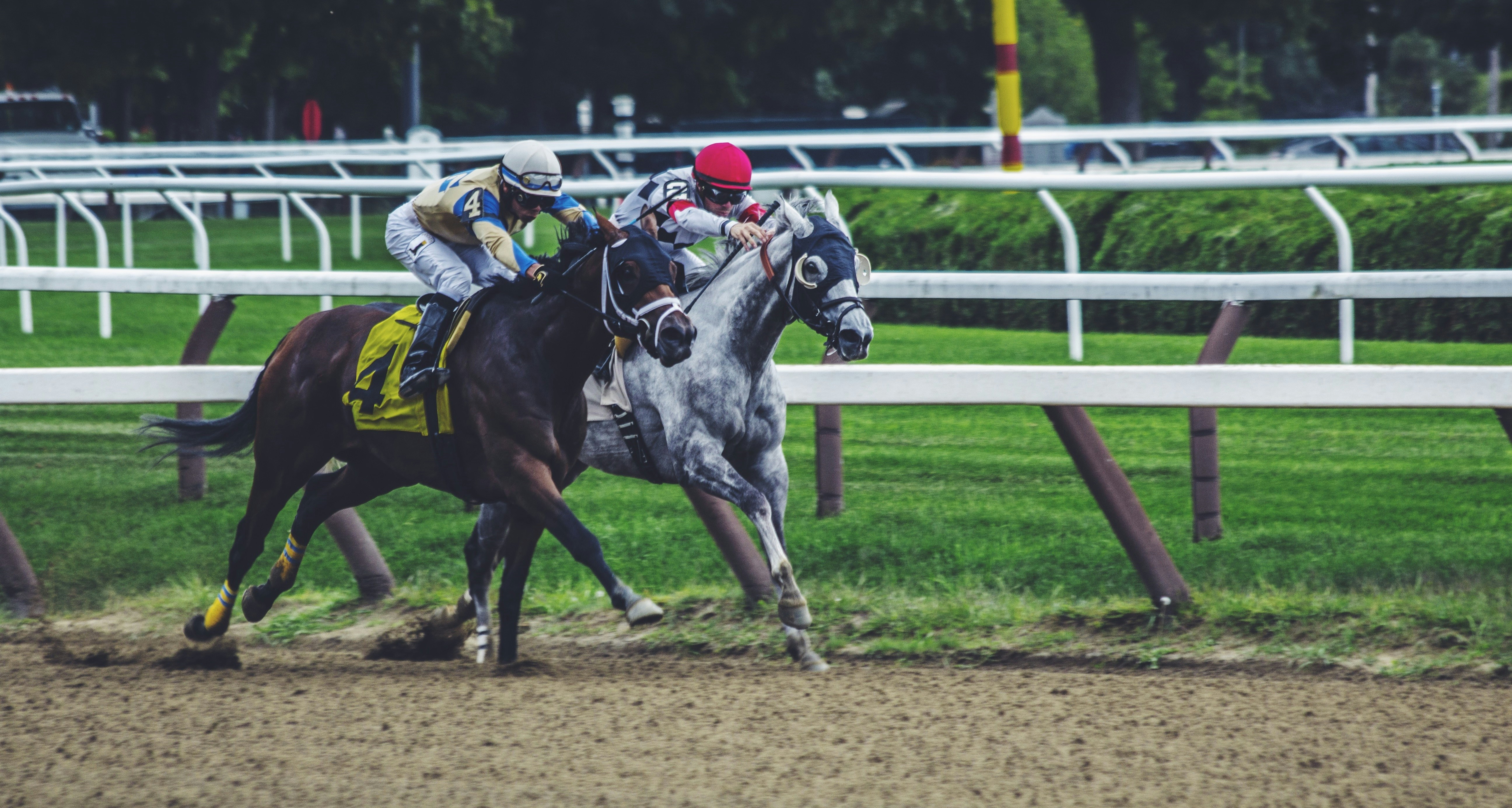Photo courtesy of Unsplash
