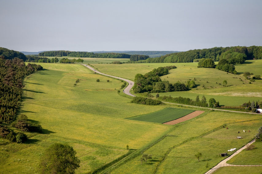 Smarter Grazing for Horses