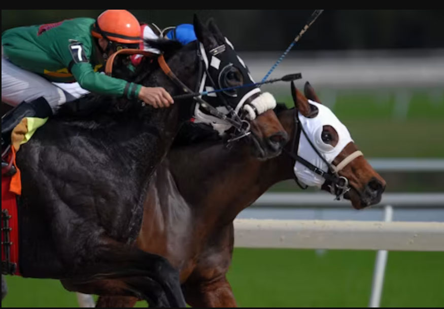 horse racing jockeys