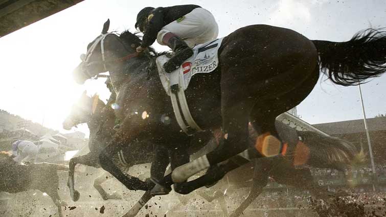 Incredible low-angle photo of an intense horse race event in the Churchill downs arena during the much awaited Kentucky Derby competition.*