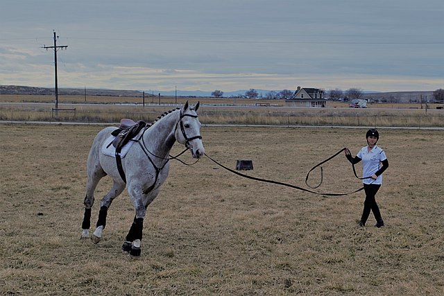 The Pamplemousse and show horse trainer Stevee Keller in Idaho The Pamplemousse and show horse trainer Stevee Keller in Idaho