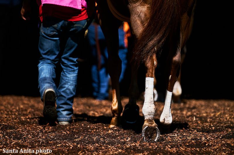 Photo courtesy of Santa Anita Photo courtesy of Santa Anita