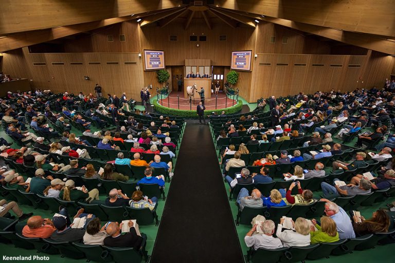 Keeneland September Yearling Sale (Photo courtesy of the Paulick Report) Keeneland September Yearling Sale (Photo courtesy of the Paulick Report)