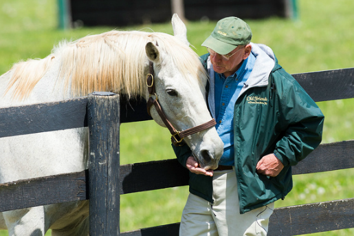 Old Friends founder Michael Blowen, with resident Kentucky Derby winner Silver Charm Old Friends founder Michael Blowen, with resident Kentucky Derby winner Silver Charm