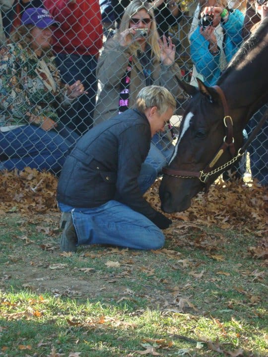Donna having a special moment with Zenyatta Donna having a special moment with Zenyatta