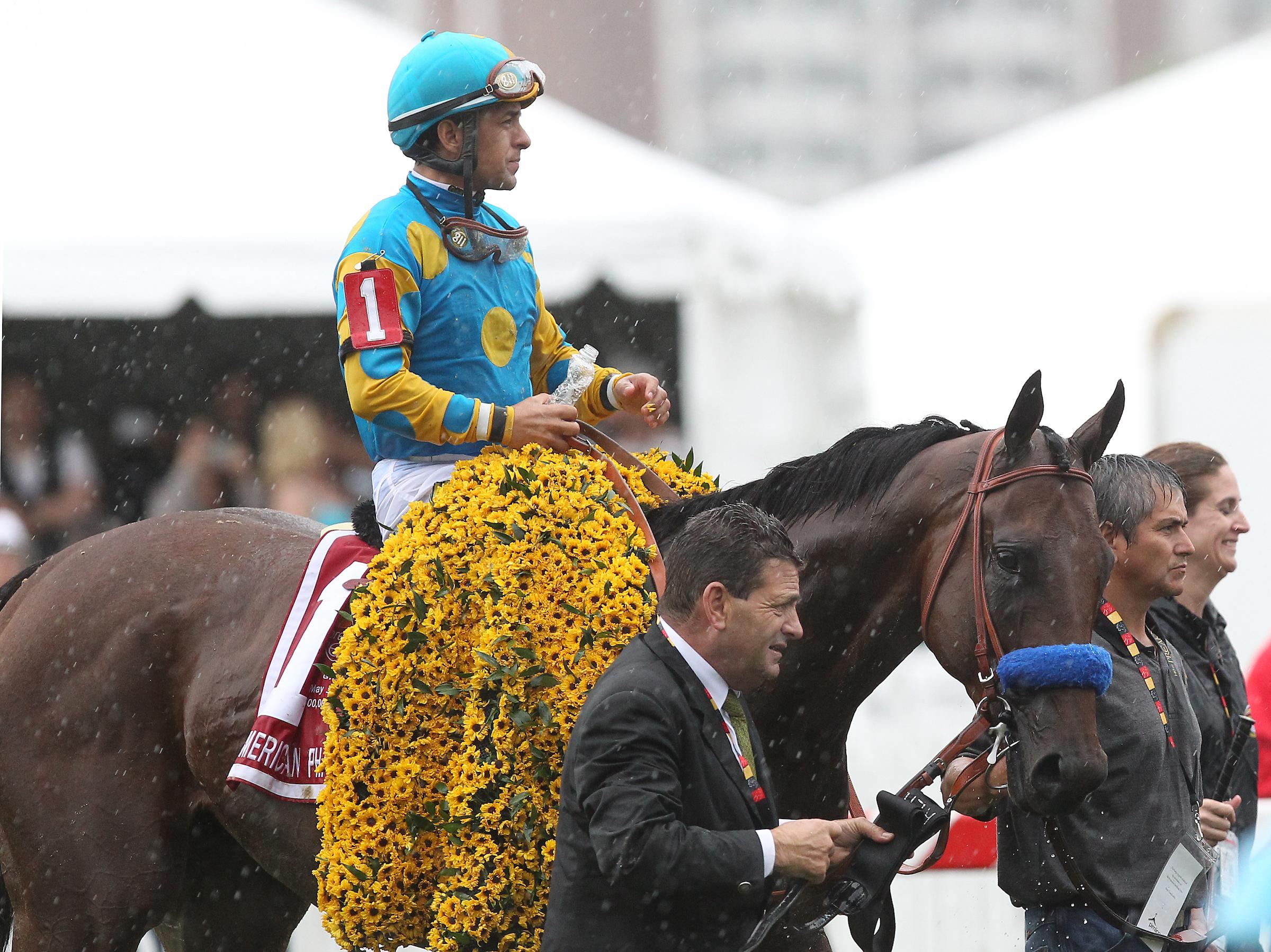 American Pharoah in 2015. (Eclipse Sportswire) American Pharoah in 2015. (Eclipse Sportswire)
