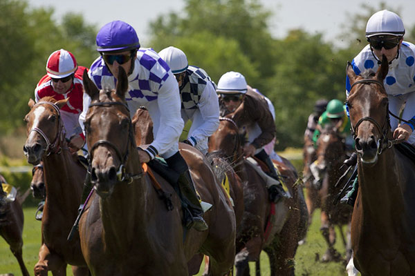 A Primer on Thoroughbred Racing: the United States, United Kingdom and Australia
