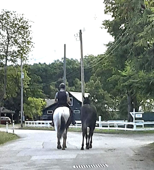 Equine Info Exchange Equine Info Exchange