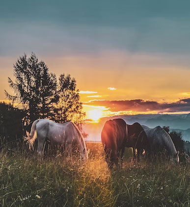 Photo courtesy of Unsplash Photo courtesy of Unsplash