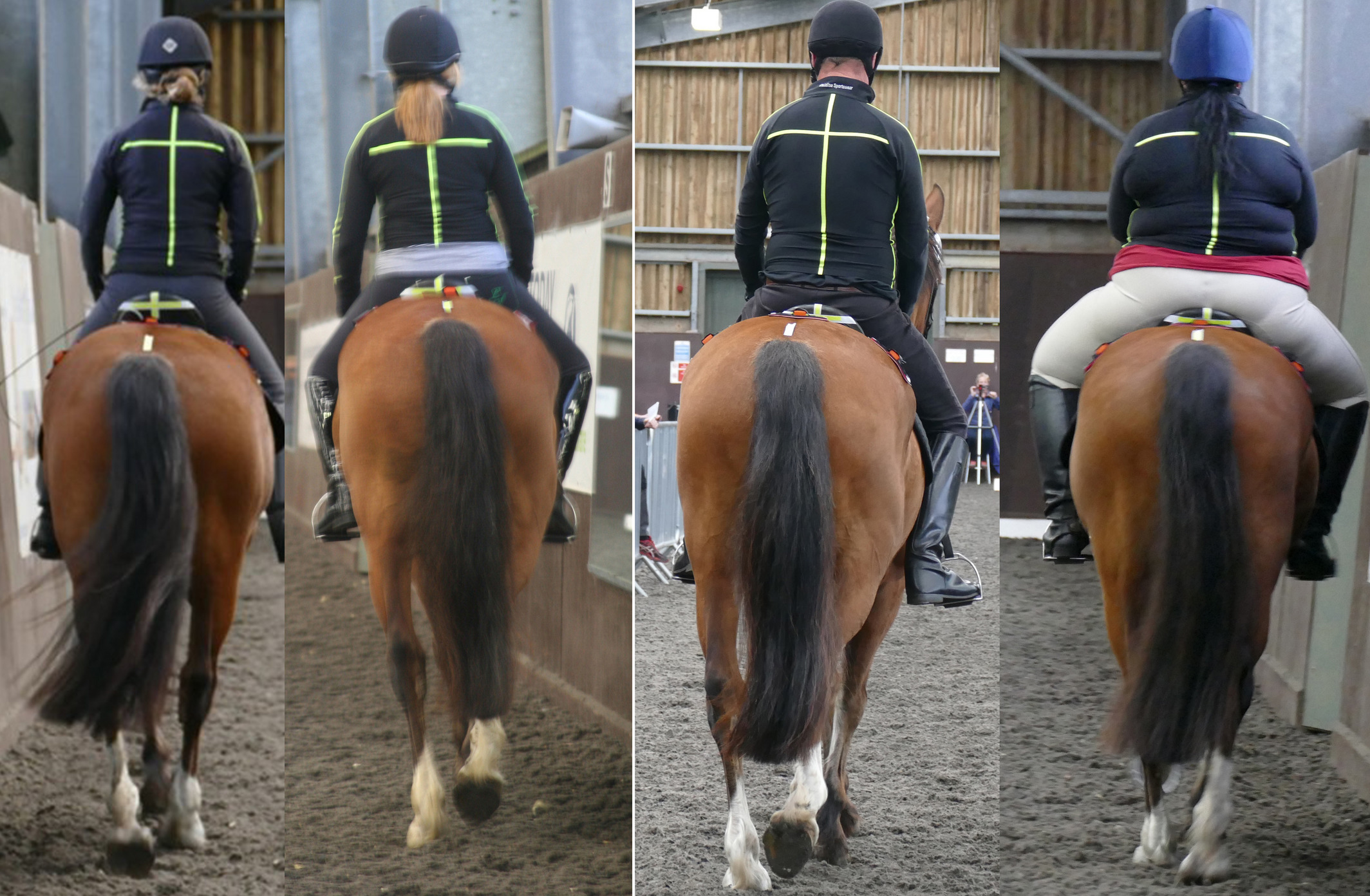 Caudal images of the four riders, from left to right, Light (L), Moderate (M), Heavy (H) and Very Heavy (VH) on Horse 2. Caudal images of the four riders, from left to right, Light (L), Moderate (M), Heavy (H) and Very Heavy (VH) on Horse 2.