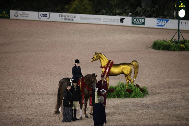 PA Mayhem - Gold Champion Arabian Hunter Pleasure with trainer/pro rider Caralyn Ms. Schroter (standing) & amateur rider Brooke Hines, photo courtesy of RCPHS PA Mayhem - Gold Champion Arabian Hunter Pleasure with trainer/pro rider Caralyn Ms. Schroter (standing) & amateur rider Brooke Hines, photo courtesy of RCPHS