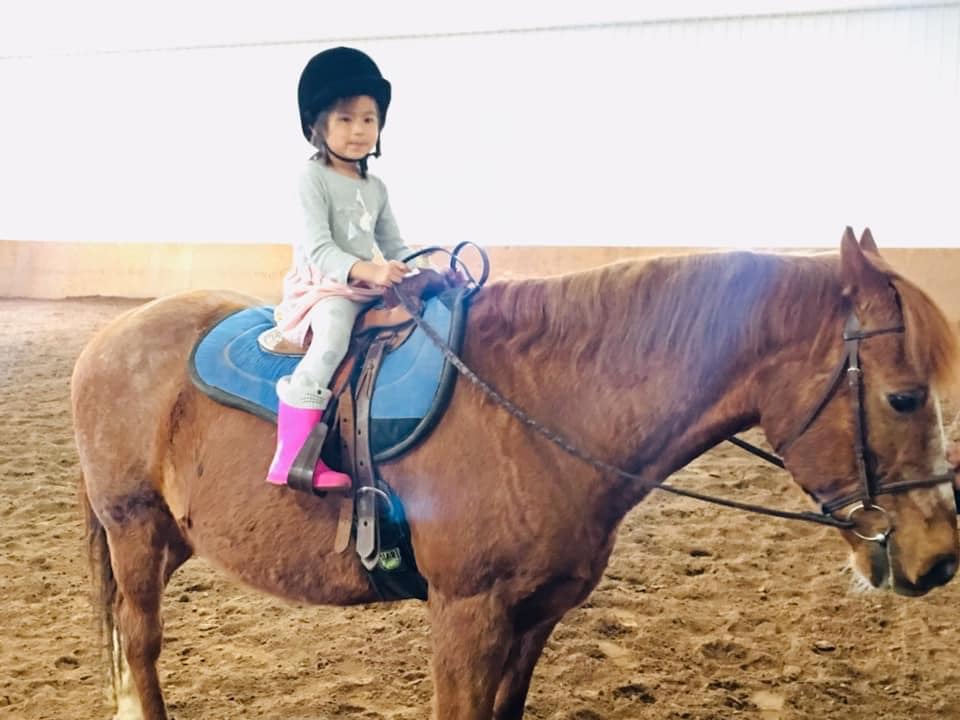 This little girl came from London and wanted to ride Rocky! This little girl came from London and wanted to ride Rocky!