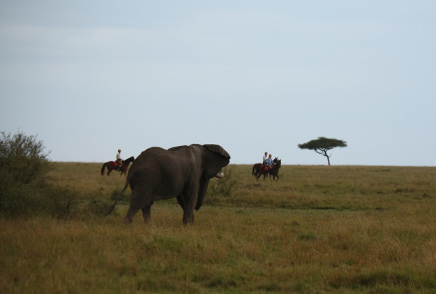 Safaris Unlimited, Kenya, Africa Safaris Unlimited, Kenya, Africa