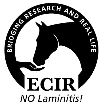 ECIR Group ECIR Group