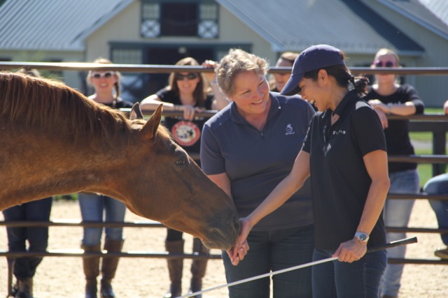 Lalaine Estella meets a horse during Equispective at the Salamander Resort with Sheryl Jordan and the TAPS family on September 16, 2016, courtesy of TAPS Lalaine Estella meets a horse during Equispective at the Salamander Resort with Sheryl Jordan and the TAPS family on September 16, 2016, courtesy of TAPS