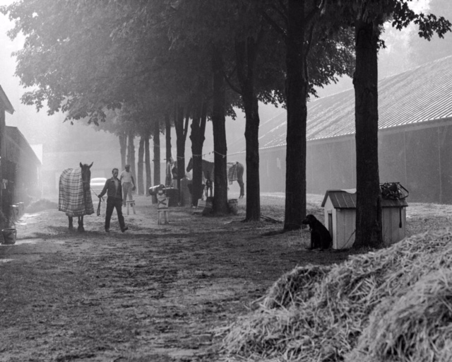 Tony Leonard - Morning Fog August 8, 1963 Tony Leonard - Morning Fog August 8, 1963