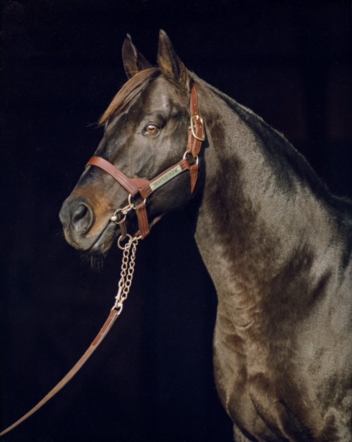 Tony Leonard - Seattle Slew October 4, 1990 (Three Chimneys) Tony Leonard - Seattle Slew October 4, 1990 (Three Chimneys)