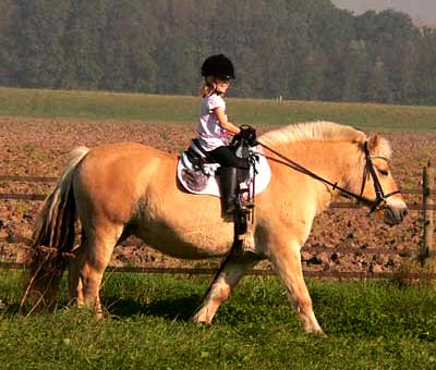 Photo Courtesy of Barefoot Saddles Photo Courtesy of Barefoot Saddles