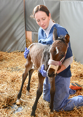 Cherish is supported by nurse Kara Edmonds in the NICU. Cherish is supported by nurse Kara Edmonds in the NICU.