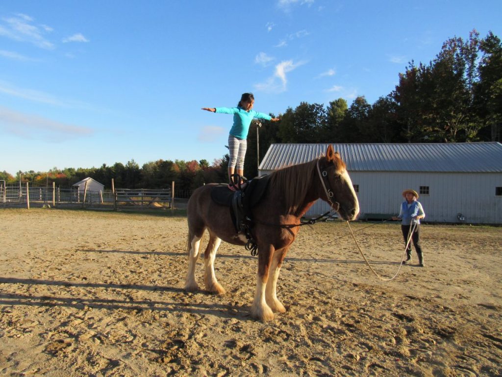 Shreya Hosur of Bar Harbor stands steady atop Rosie. The 6-year-old began learning how to vault on horseback two months ago. Ellsworth American Photo by Maxwell Hauptman Shreya Hosur of Bar Harbor stands steady atop Rosie. The 6-year-old began learning how to vault on horseback two months ago. Ellsworth American Photo by Maxwell Hauptman