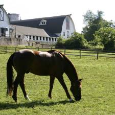 Empty Fields Everywhere Why Movement is So Important