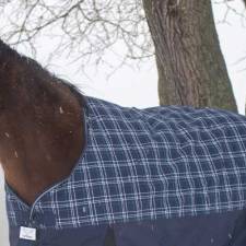 5 Winter Plus Senior Horse Care Tips