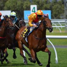 Which are the hottest horse racing bonuses that bookmakers offer?