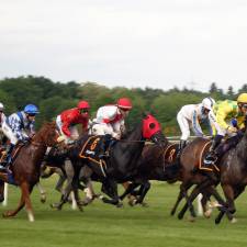 Why is horse racing slowly becoming the preferred option for online bettors?