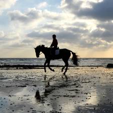 Horseback Riding Vacations in Spain