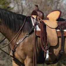 Five Western Saddle Q&As