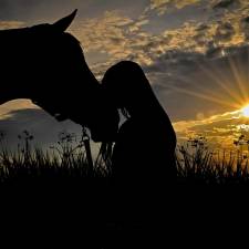 Let's Talk Euthanasia