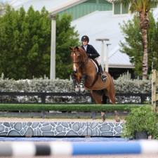 How Horse Show Culture Has Changed (and why it’s worth preserving)